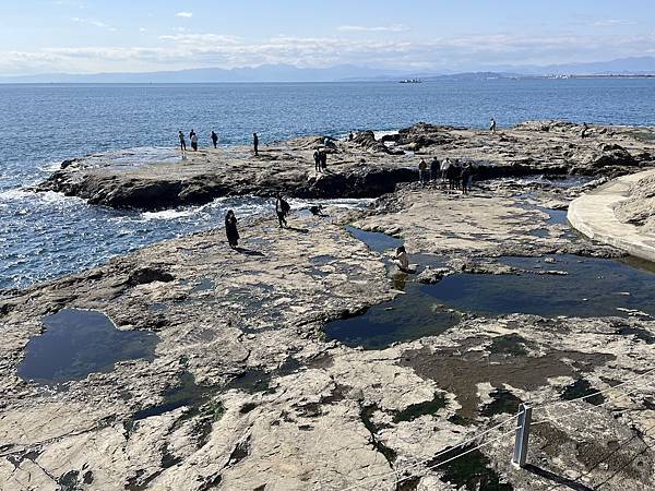 DAY9~10《鎌倉江之島》2023年2月日本關東胖姐&寶貝