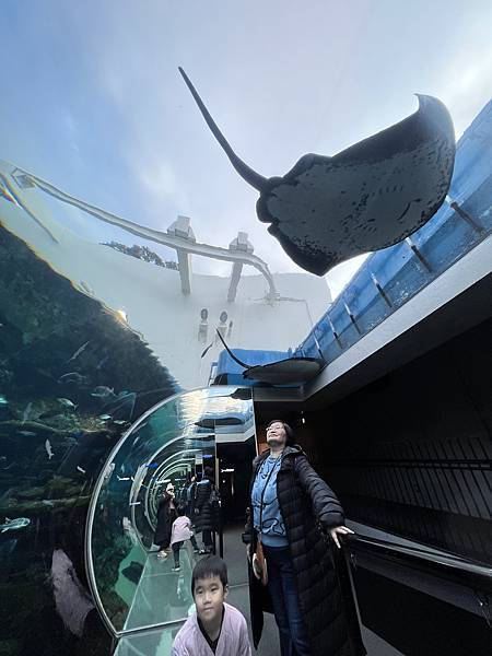 DAY9《九十九島水族館閃亮亮/豪斯登堡/佐世保》2023年