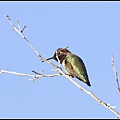 _IGP0864.jpg