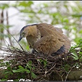_IGP8422.jpg