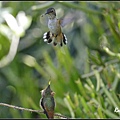 _IGP3272a.jpg