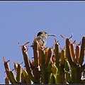 _IGP3424.jpg