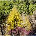 _IGP2598.jpg