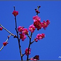_IGP2680.jpg