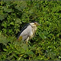 _IGP5349.jpg