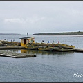 IMGP3137.jpg