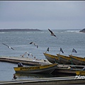 IMGP3154.jpg