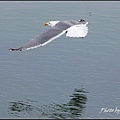 IMGP3206.jpg