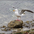 IMGP3212.jpg