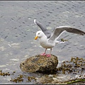 IMGP3211.jpg
