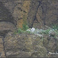 IMGP2847.jpg