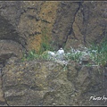IMGP2849.jpg