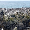 IMGP2880.jpg