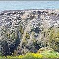 IMGP2908.jpg