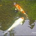 IMGP3710.jpg