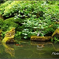 IMGP3714.jpg
