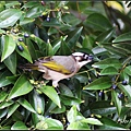 IMG_8835.jpg
