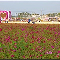 IMGP0390.jpg