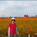 IMGP0412.jpg