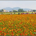 IMGP0421.jpg