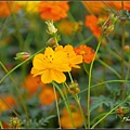 IMGP0428.jpg