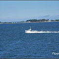 IMGP9107.jpg