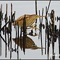 IMGP0559.jpg