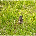 _IGP6780.jpg