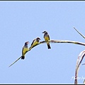 _IGP8602.jpg