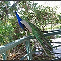 IMGP5939.jpg