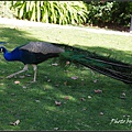 IMGP5974.jpg