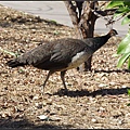 IMGP6221.jpg