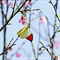 IMGP8443.jpg
