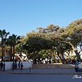 IMGP2221.jpg