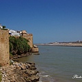 IMGP2311.jpg
