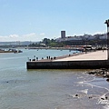 IMGP2317.jpg