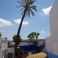 IMGP2336.jpg