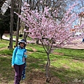 IMG_2941.jpg