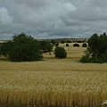 IMGP4083.jpg