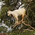 IMGP4109.jpg