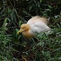 IMGP9400.jpg