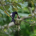 IMGP4550.jpg