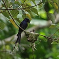 IMGP4577.jpg