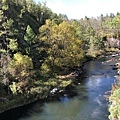 IMG_5560.JPG