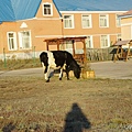 IMGP5943.jpg