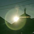 IMGP5954.jpg