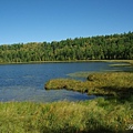 IMGP5979.jpg