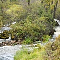 IMGP6023.jpg