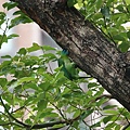 DSC05537.jpg