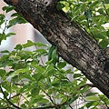 DSC05536.jpg